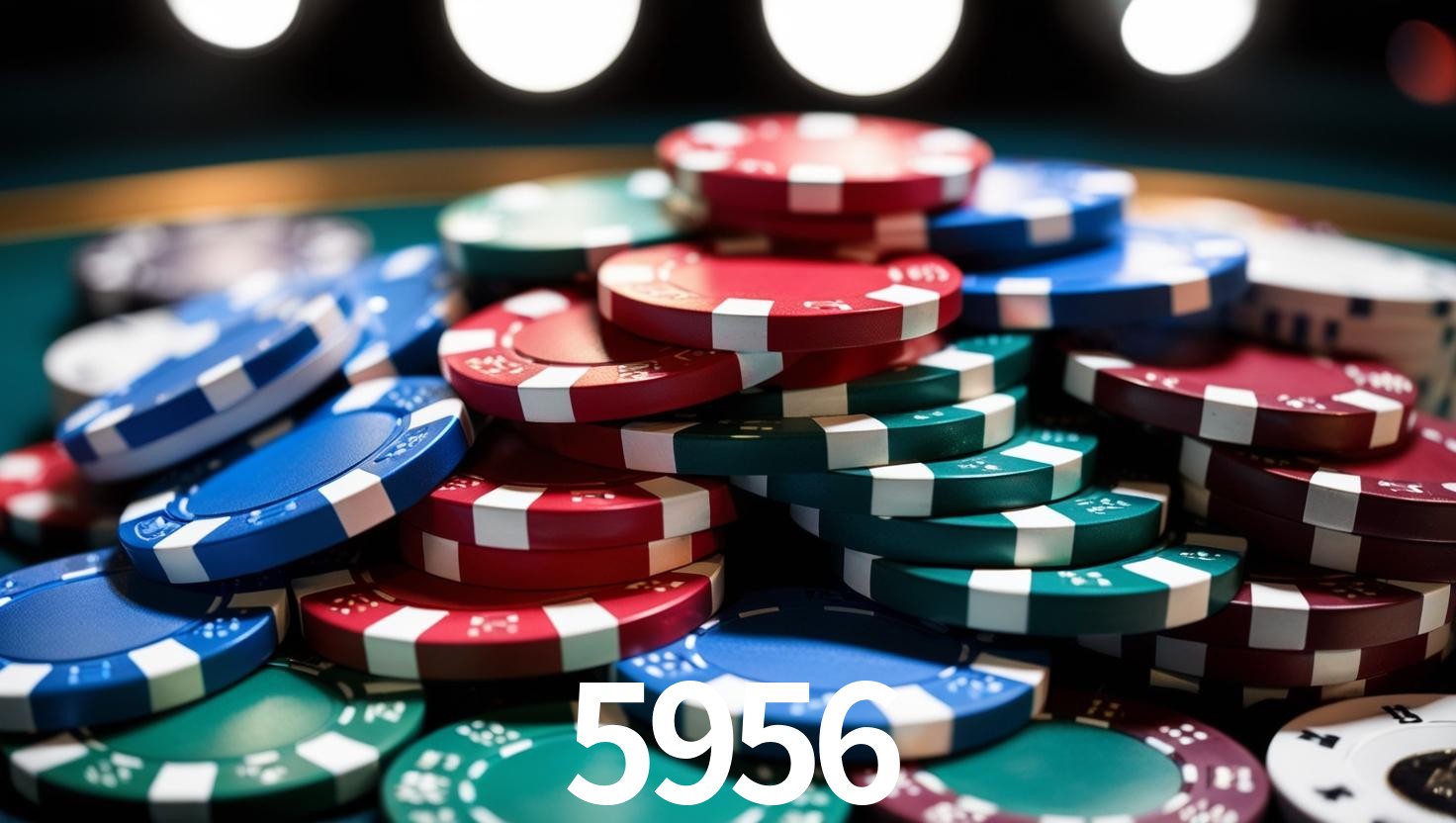 5956.COM