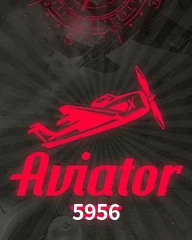 5956.COM